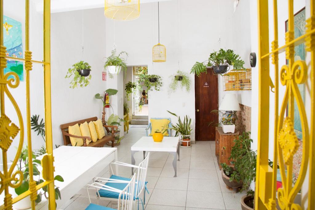 Casa Canario Hostel Guadalajara Bagian luar foto