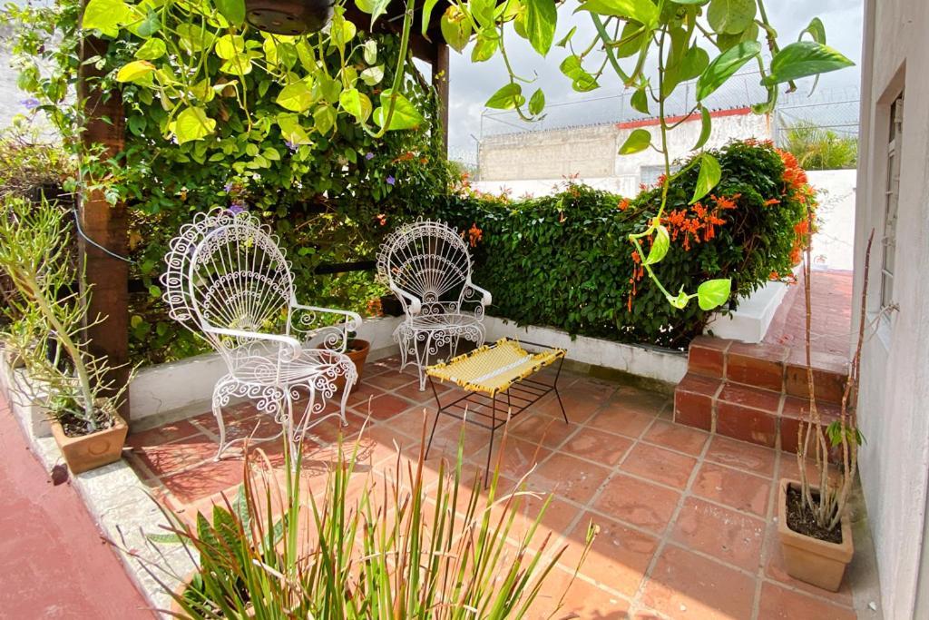 Casa Canario Hostel Guadalajara Bagian luar foto