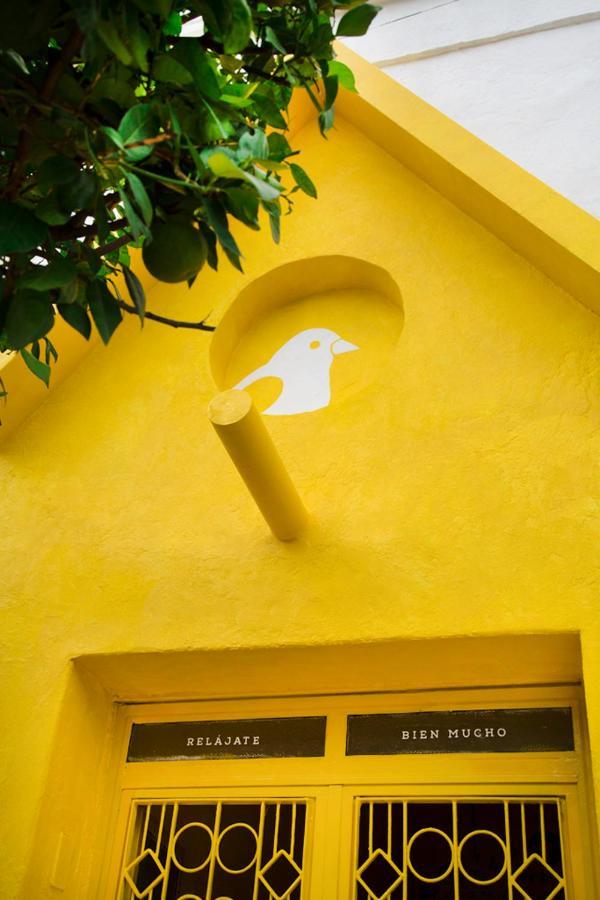 Casa Canario Hostel Guadalajara Bagian luar foto