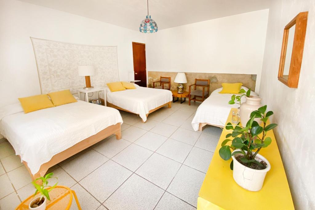 Casa Canario Hostel Guadalajara Bagian luar foto