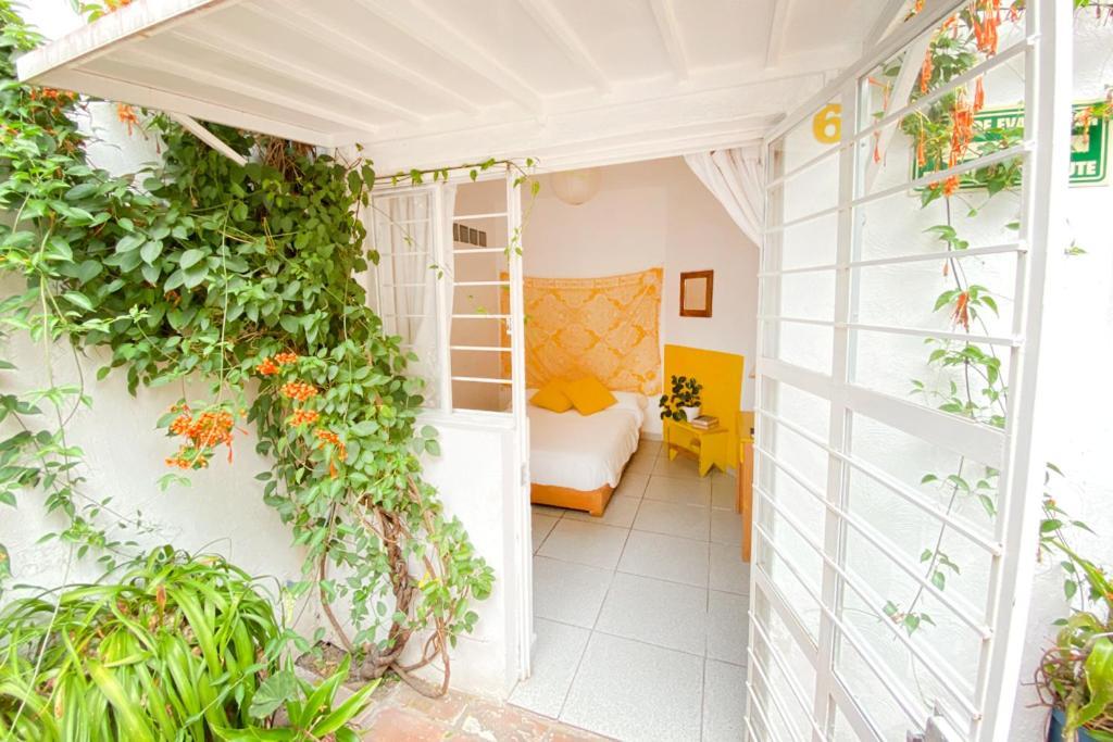 Casa Canario Hostel Guadalajara Bagian luar foto
