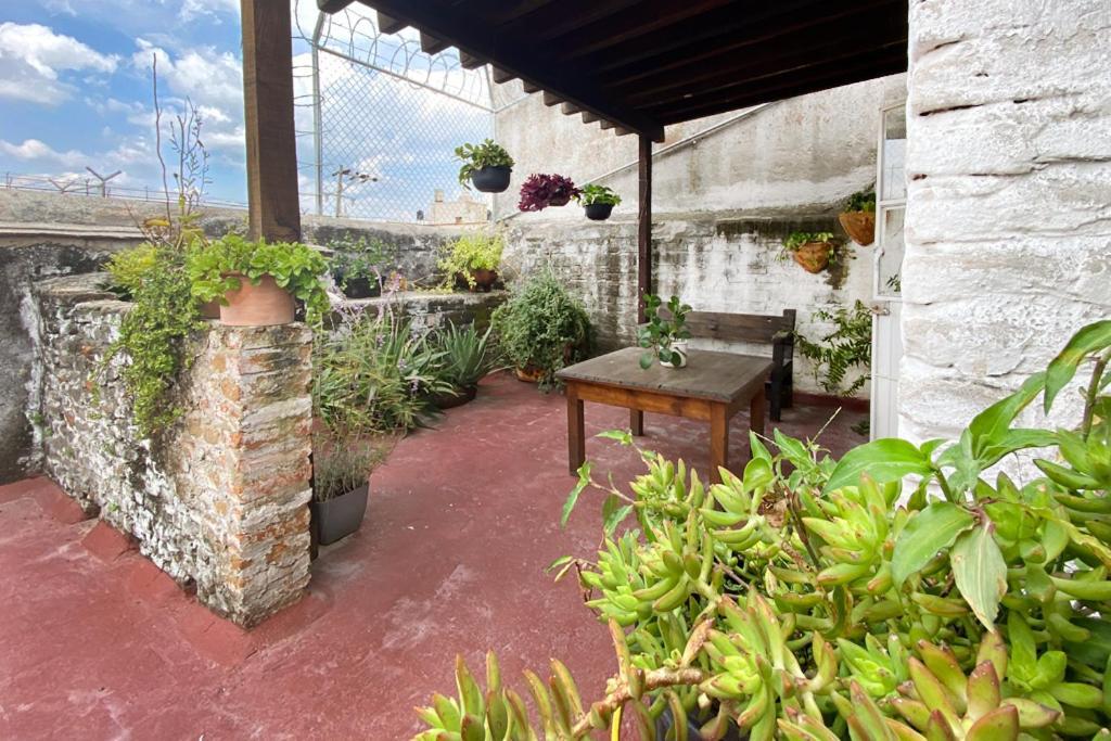 Casa Canario Hostel Guadalajara Bagian luar foto